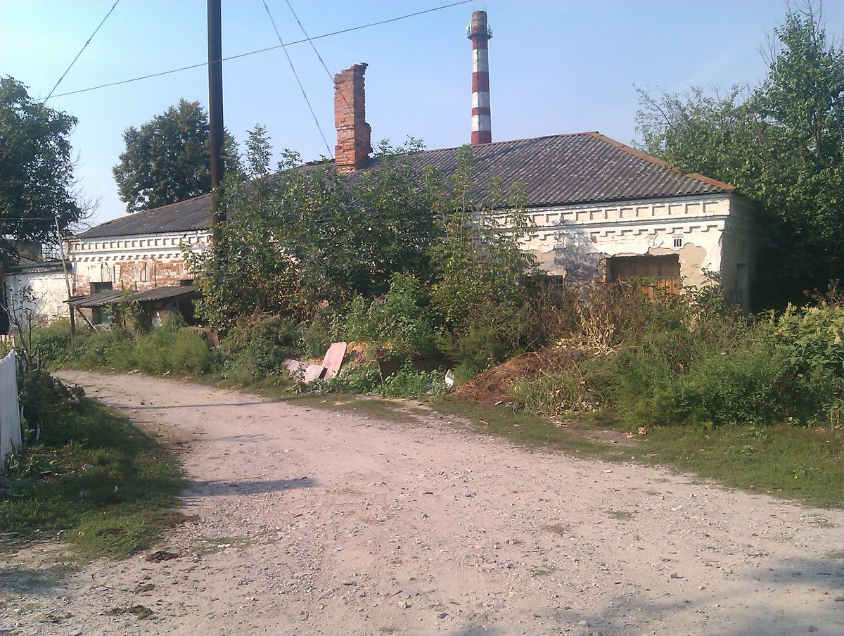 laznya bar
