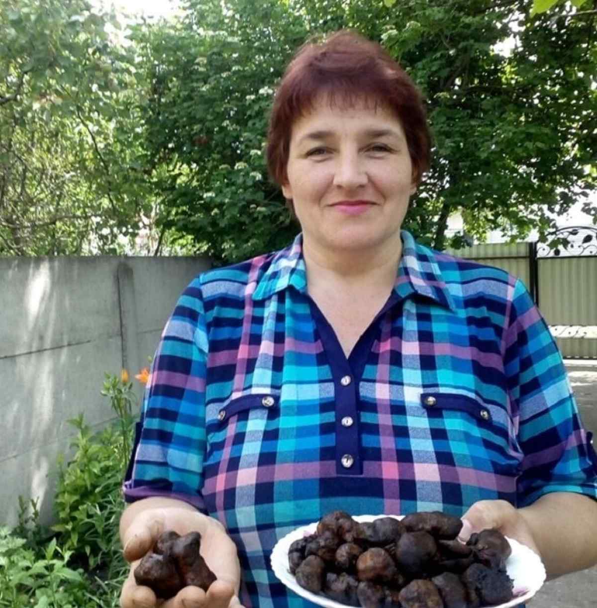 gryby-kalynivka- 1