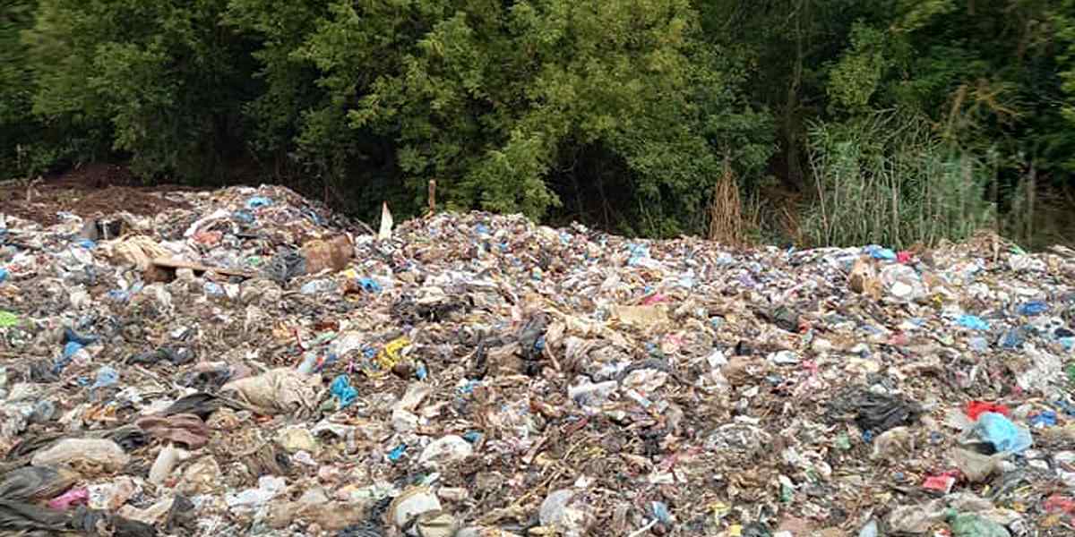 117772900 3005577619564495 4438747000989087580 n 1