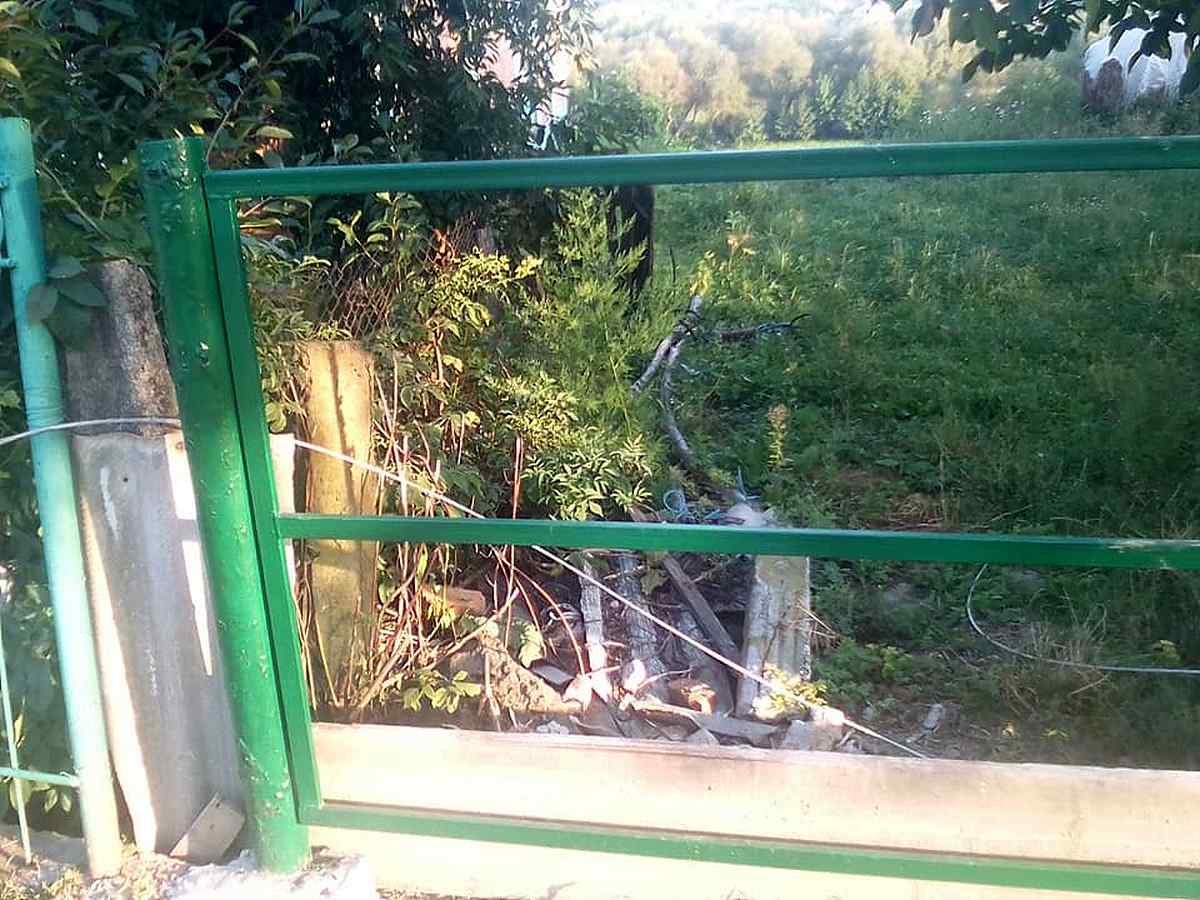 vbylo-korovy-strymom-machnivka-5 1