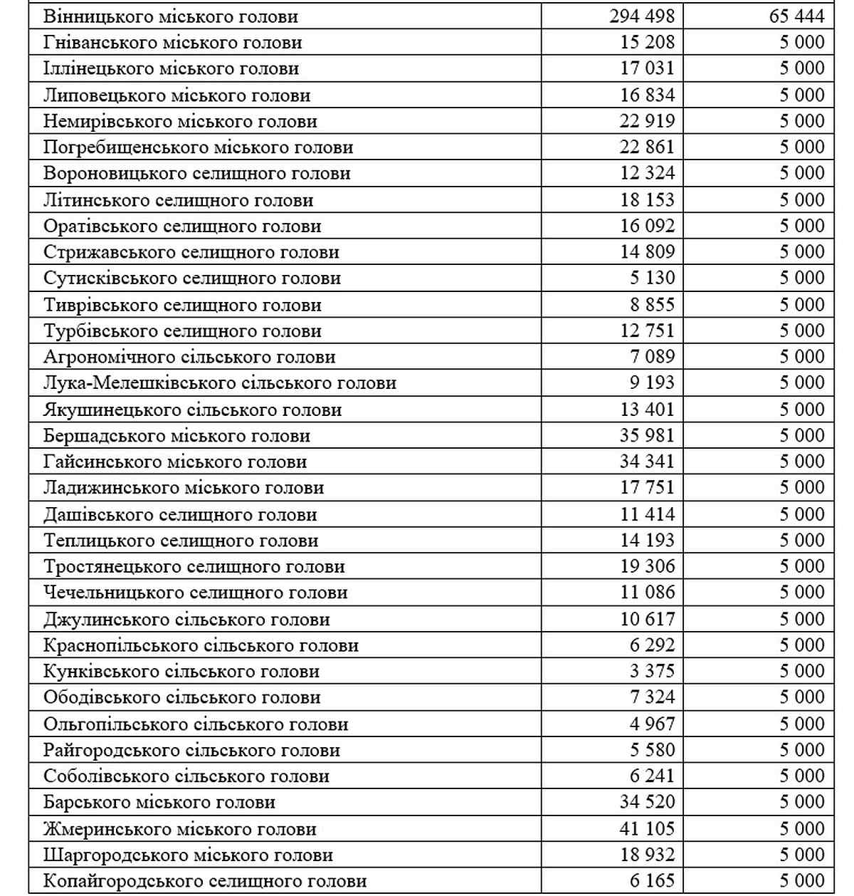 zastava-vinnitsia-vybory-5 1