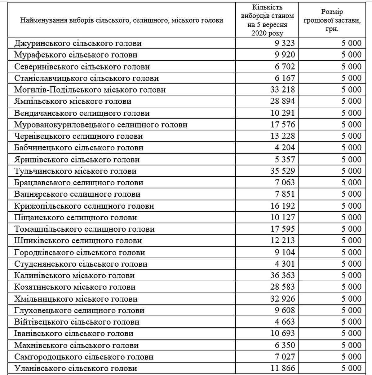 zastava-vinnitsia-vybory-6 1