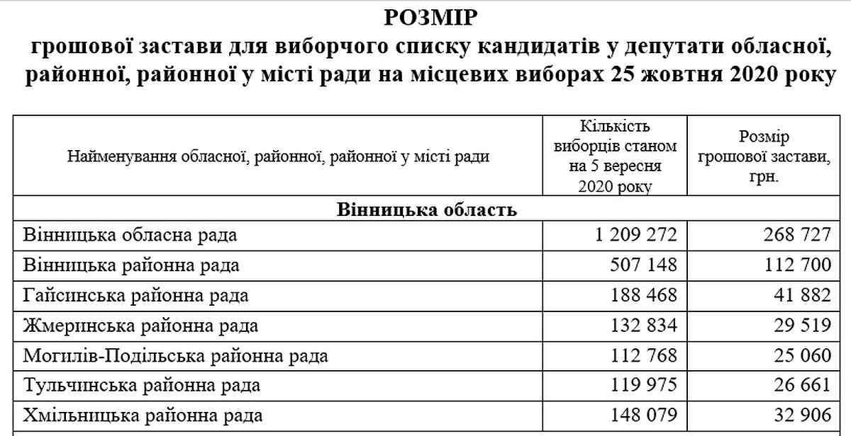 zastava-vinnitsia-vybory- 1