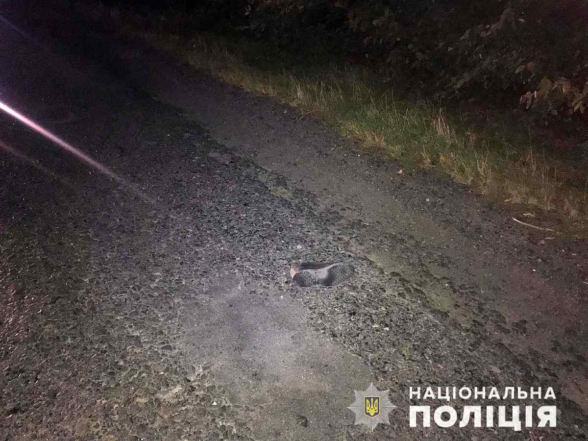 zbyv-zhinky-vinnitsia-lityn-2 1