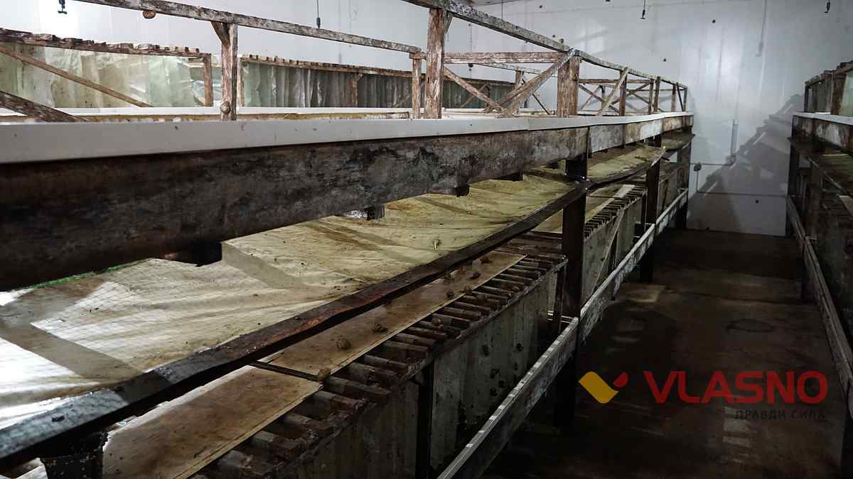 ravlukova ferma 16 1