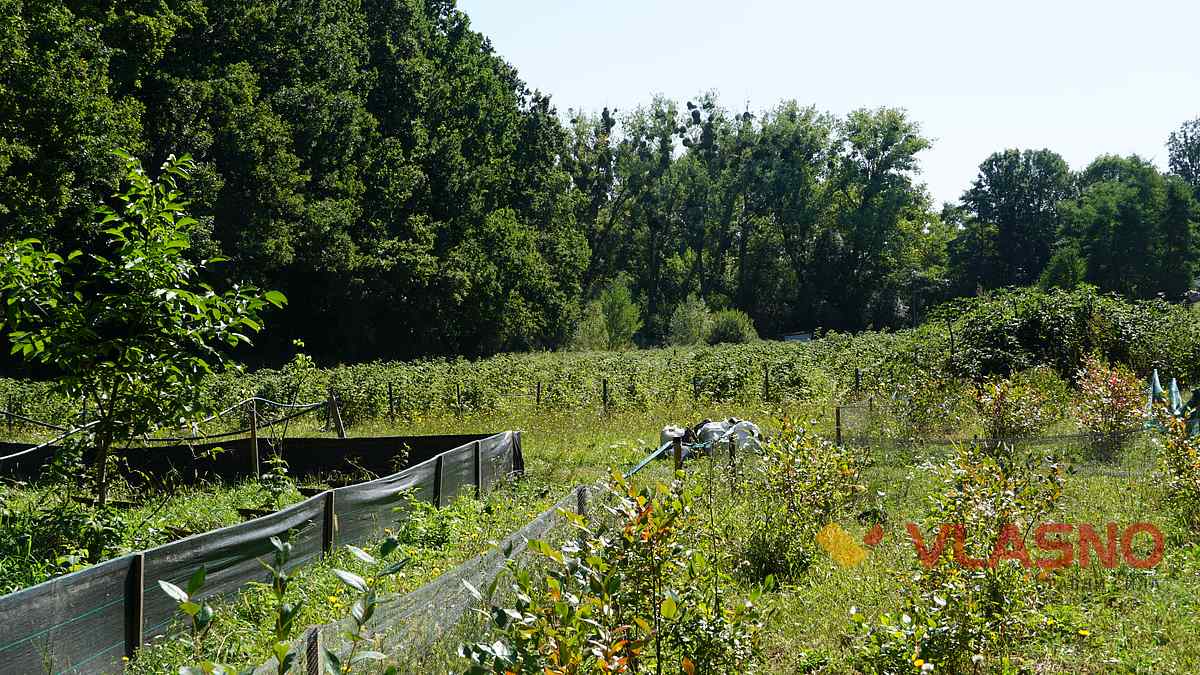 ravlukova ferma 23 1