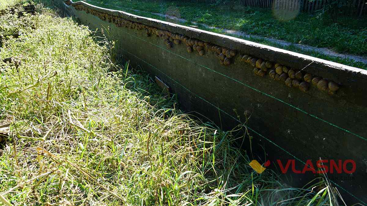 ravlukova ferma 26 1