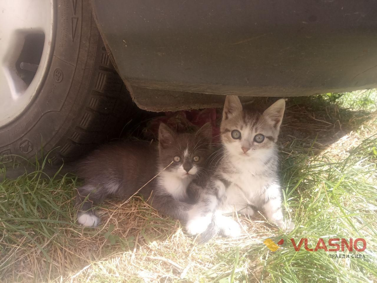 photo 2020-09-15 14-15-31 2