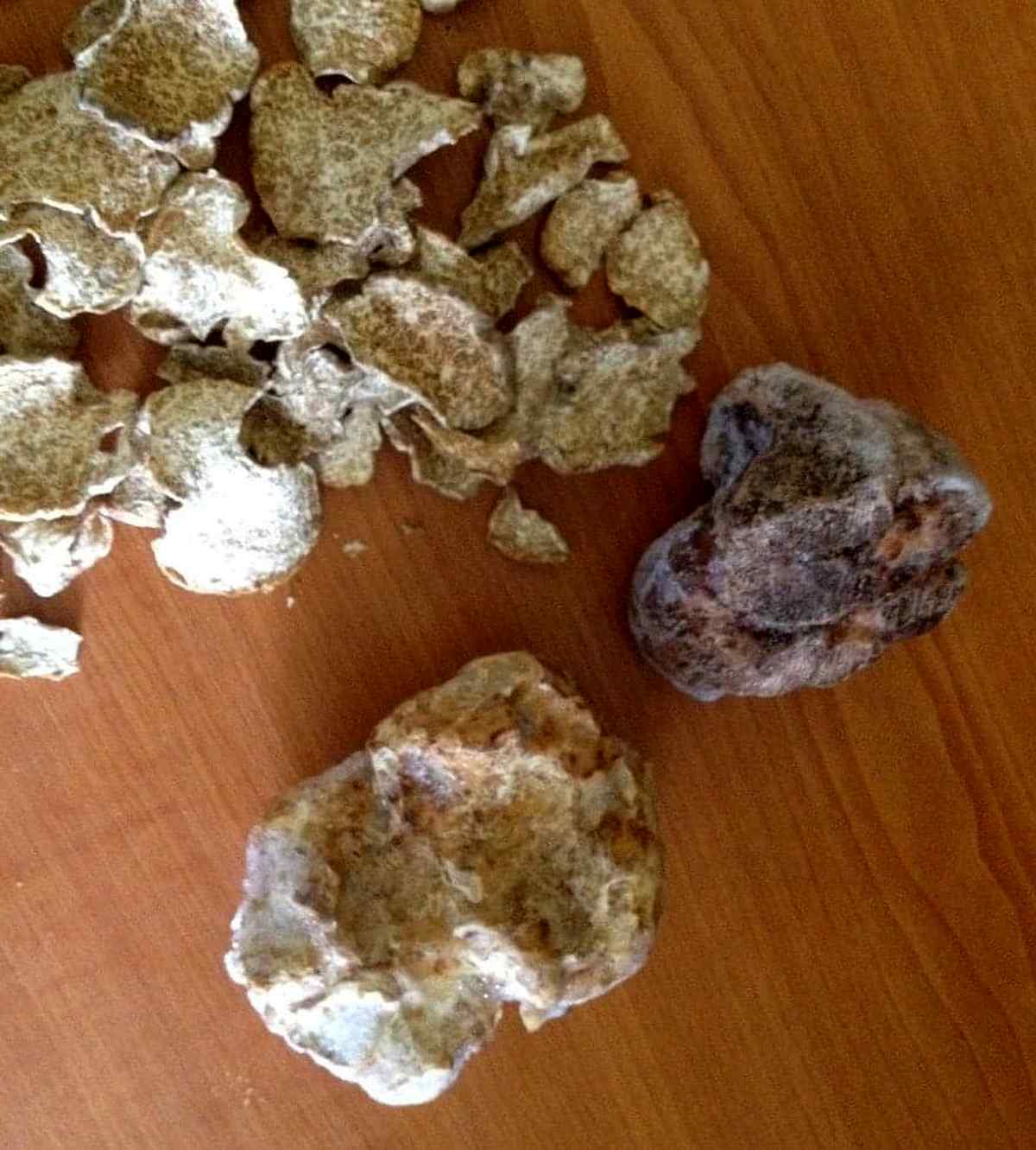 tryfeli-vinnitsia-lis 1