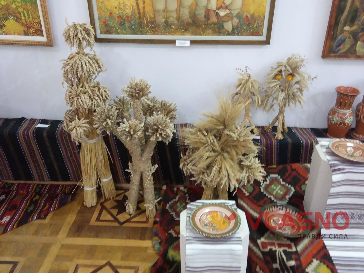 vistavka8