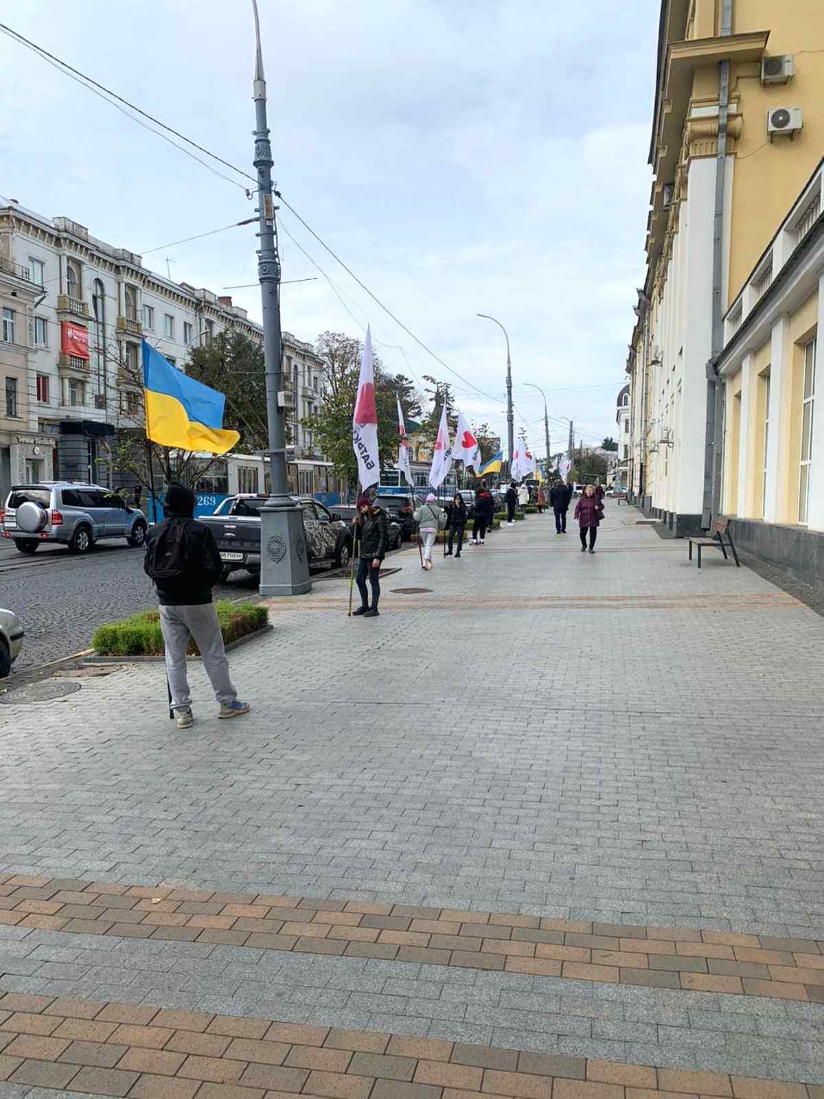 batkivshyna-vinnitsia-vybory-3 1