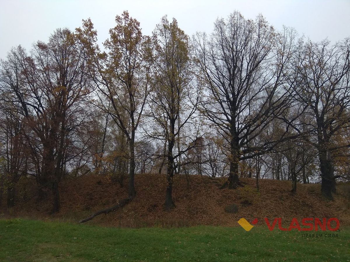 ksIMG 20201107 092454