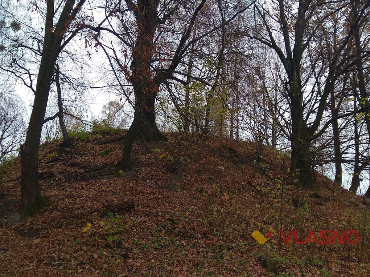 ksIMG 20201107 094617