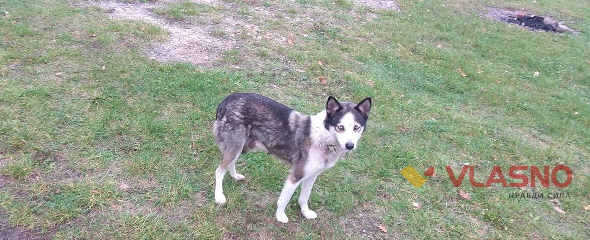 ksIMG 20201107 095151