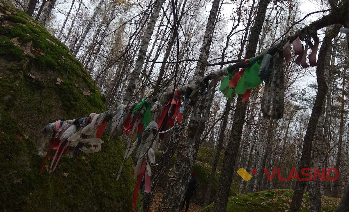 ksIMG 20201107 125037