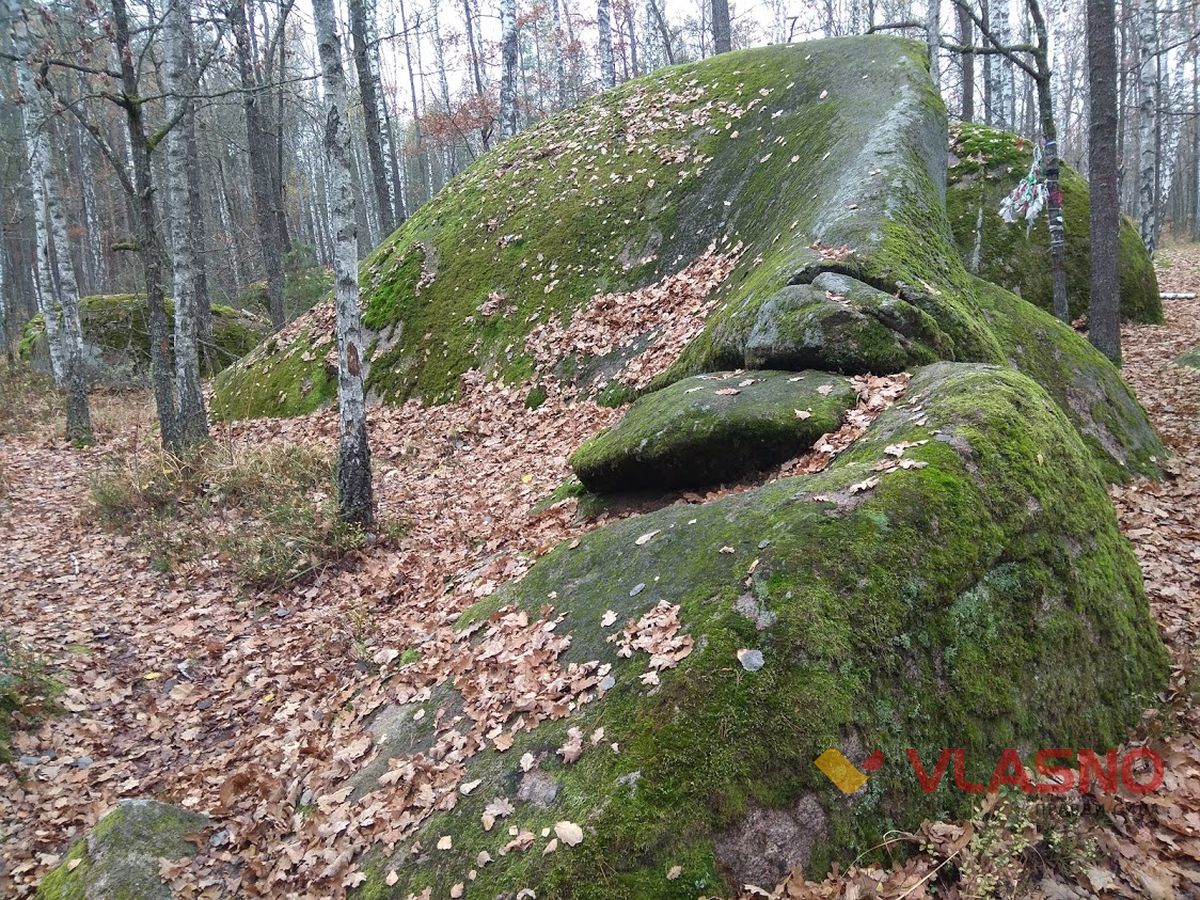 ksIMG 20201107 125610