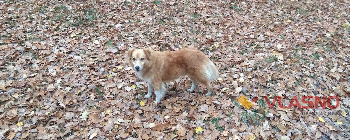 ksIMG 20201107 125907