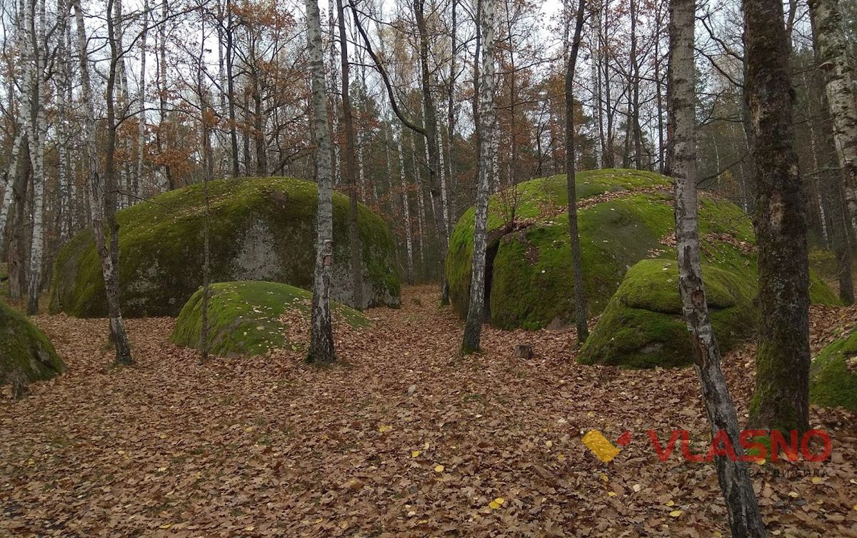 ksIMG 20201107 130210