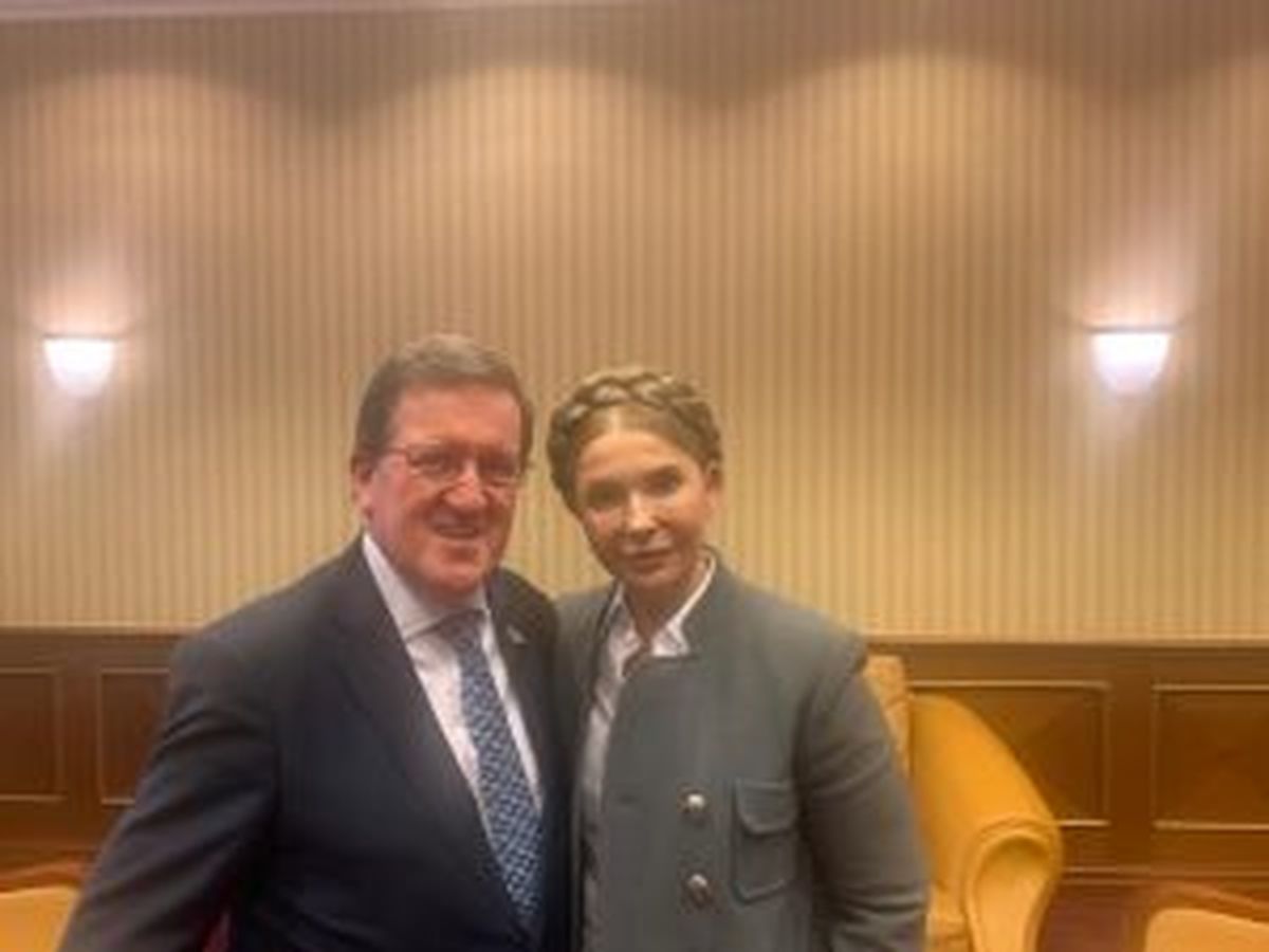 timoshenko15-03