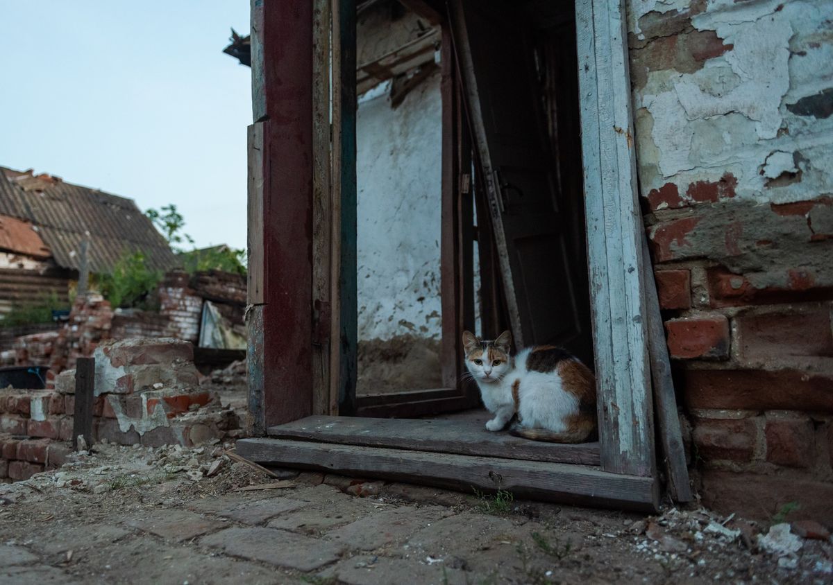 sumy4