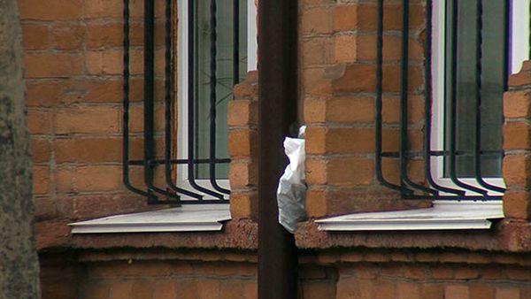 Bimba 2