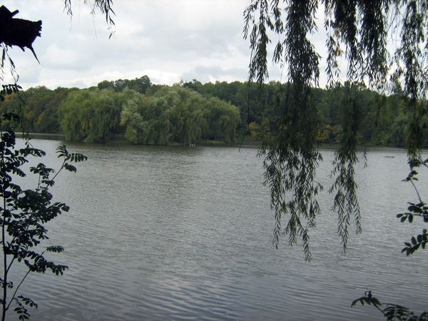 most-na-ostrovok-2