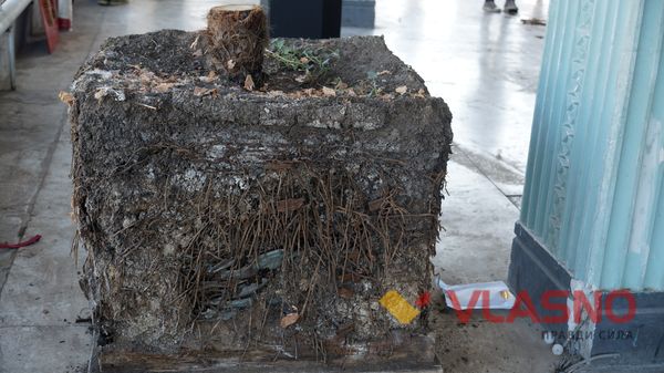 виставка сучасного мистецтва у кінотеатрі "Росія" фото