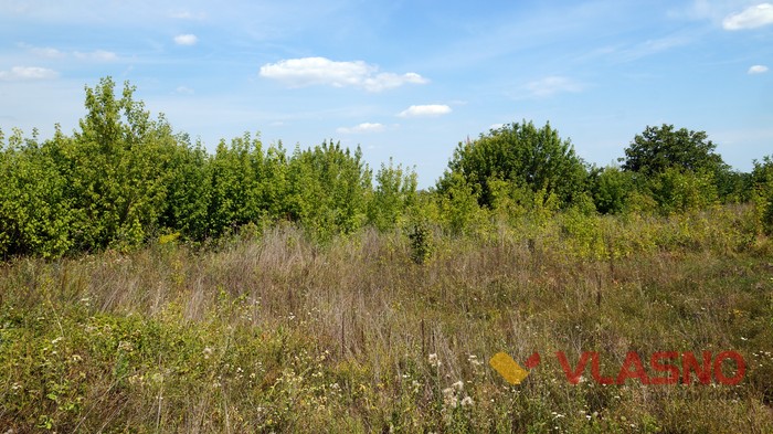 розкопки на Старому місті у Вінниці фото