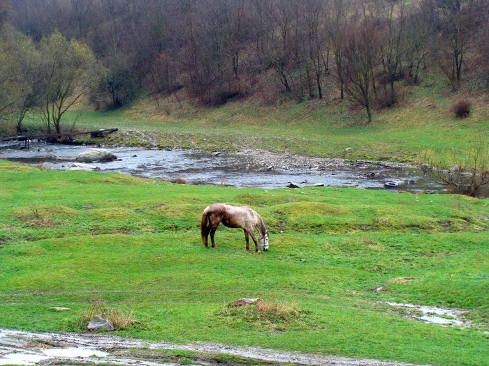 село Вінож фото