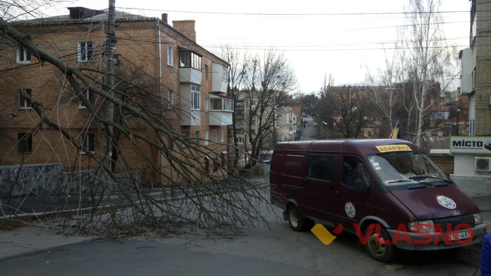 повалене дерево на вулиці Хлібній у Вінниці фото