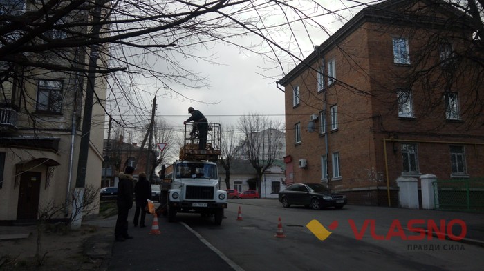 повалене дерево на вулиці Хлібній у Вінниці фото