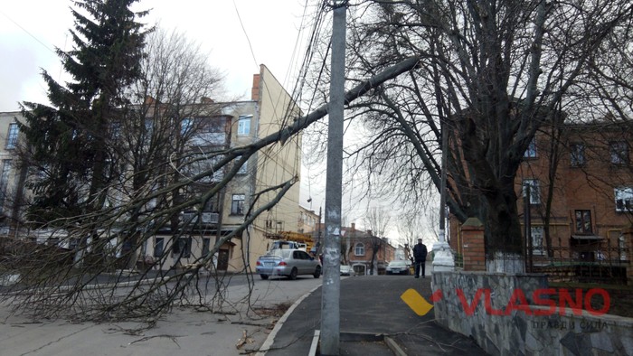 повалене дерево на вулиці Хлібній у Вінниці фото