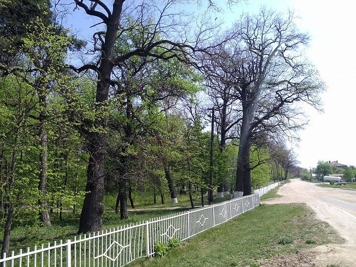 Турбівський парк фото