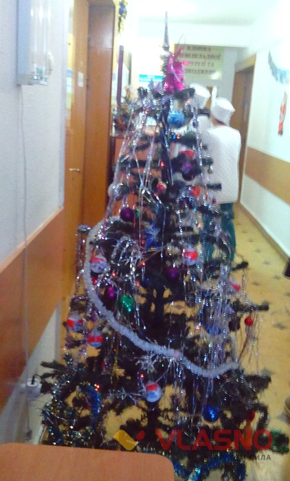 ялинка у вінницькому шпиталі фото