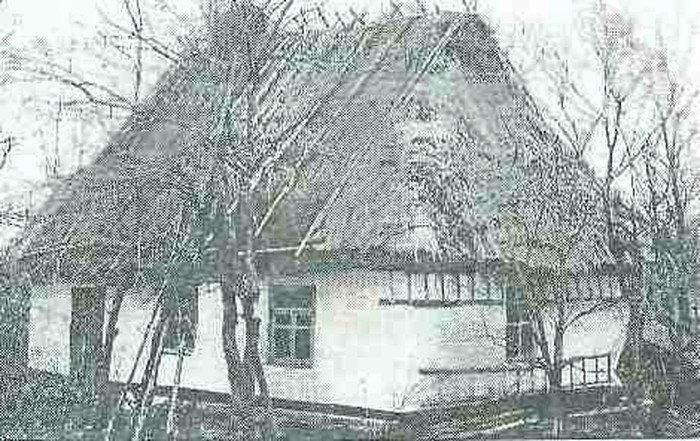 хатка у селі Біличин фото