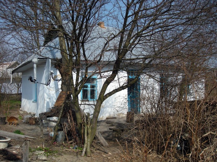 хатка у селі Біличин фото