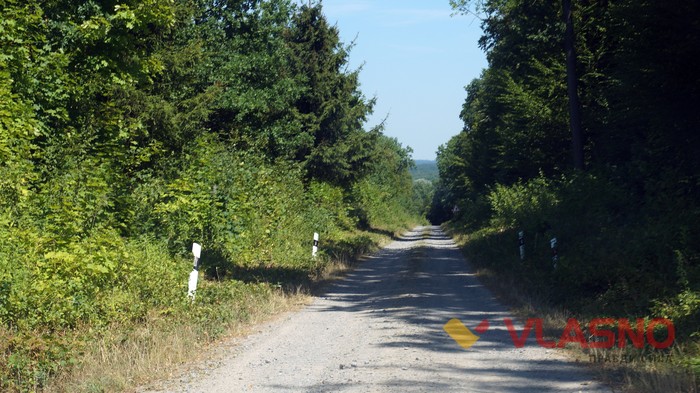 дорожні знаки біля села Гущинці фото