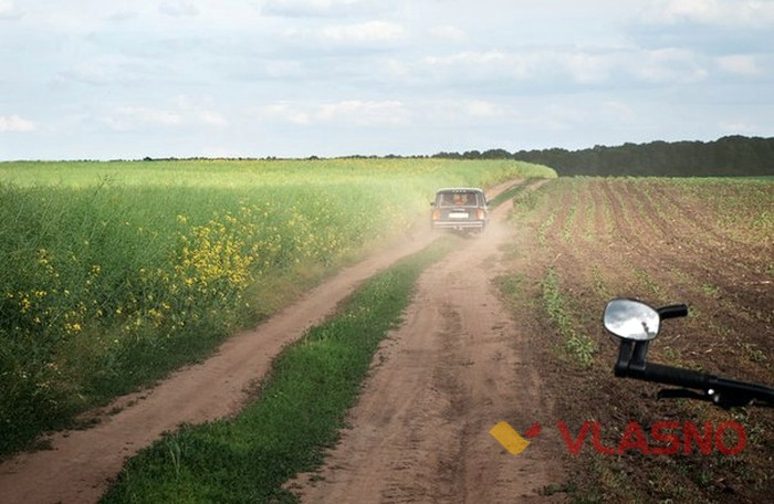 поля біля Стрижівки фото