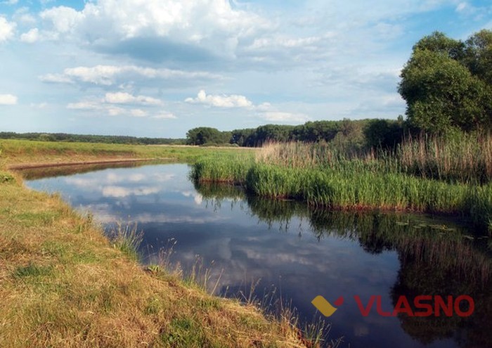 поля біля Стрижівки фото