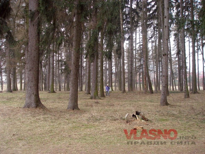 22-03-subbotnyk-6