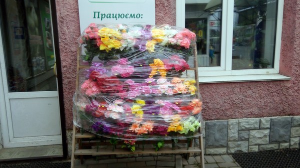 Kvitgolovna