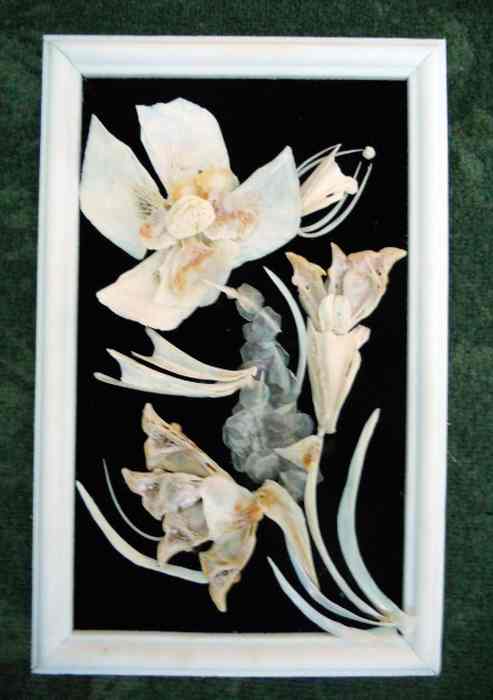rose14
