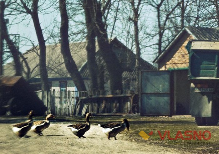 Микуленці фото