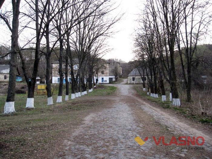 Сутиски фото