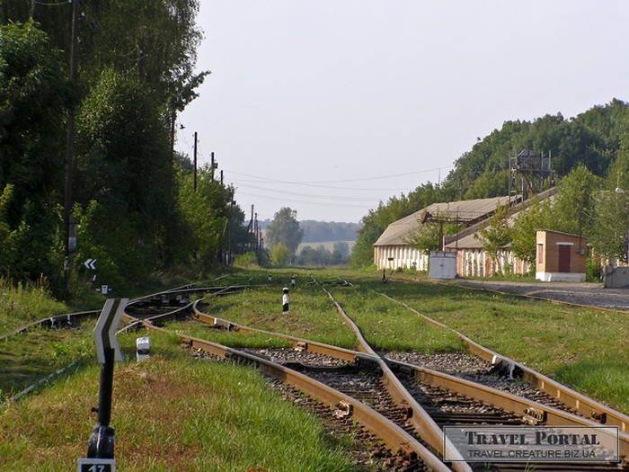 село Сорока фото