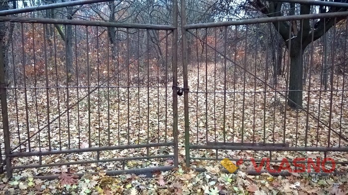 Вінницький дендрарій фото