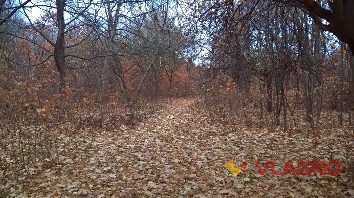 Вінницький дендрарій фото