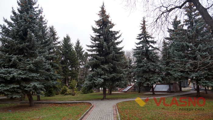 Європейська площа у Вінниці фото