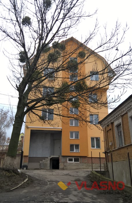 вінницька Єрусалимка фото