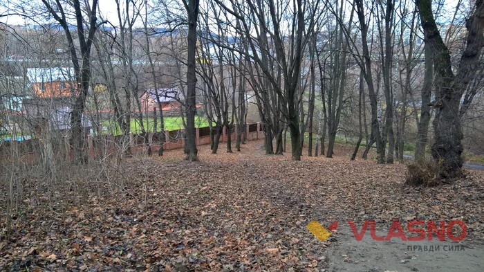 Кумбари у Вінниці фото